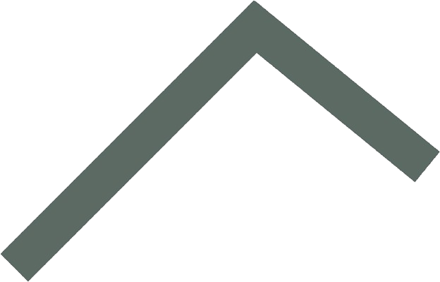 Icon Transparent
